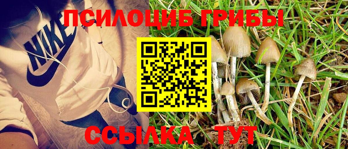 Галлюциногенные грибы Psilocybine cubensis  Вход с VPN  Кольчугино 