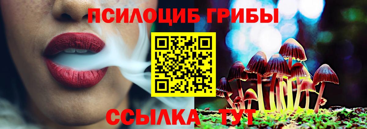 Псилоцибиновые грибы GOLDEN TEACHER Кольчугино